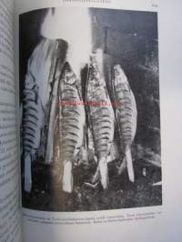 Meidän Maa, Suomi sanoin ja kuvin, kohokuvioitu kokonahkainen (punainen) loistosidos - painettu numeroituna 1600 kappaletta Turun Chromopaperitehdas Oy:n