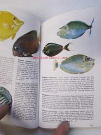 The many-splendored Fishes of Hawaii