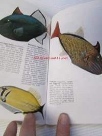 The many-splendored Fishes of Hawaii