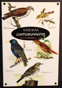 Värikäs lintukuvasto