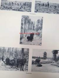 1.1.1916 - Kuvakokoelma, jonka taiteellisen loistopainoksen... Hackman &amp; C:o virkailijat tammikuun 1 päivänä 1916 antoivat kauppaneuvos W. Hackmanille