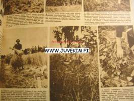 Suomen Kuvalehti 1944 nr 36