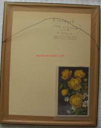 Alfred Scheack,   Ulpukoita   alkuperäismaalaus, postikortin originaali,   kehystetty koko 35x28 cm, kuvakoko 20x13 cm sign Kuvataide ei julkaistua postikorttia,