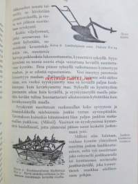 Lyhyt maatalousoppi - Kansakoulujen jatko-opetuskirjaoppikirja