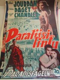 Paratiisilintu - Paradisfågen, pääosissa Louis Jourdan, Debra Paget, Jeff Chandler, ohjaus Delmer Daves - elokuvajuliste