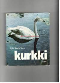 Kurkki