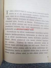 Liituraja - Kuvan ja Sanan kertomuksia 2. - kahden iäkkään sisaruksen - Amalia ja Hanna - vihanpidon vaiheet -uskonnollissävyinen kertomus