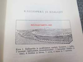 Kivitietoa malminetsijöille