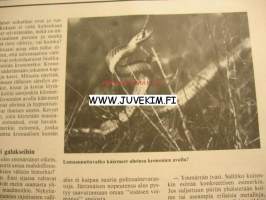 Ultra 1987 nr 12