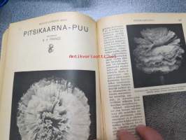 Maailma 1921 (5. ja 6. sidos) - Kirjallinen aitta -erittäin monipuolinen kuukausijulkaisu sidottuna, tunnettujen kirjoittajien ja kuvittajien laadukasta jälkeä