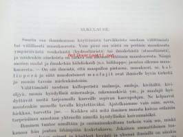 Jokamiehen kivikirja