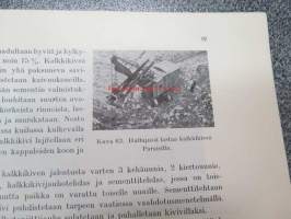 Jokamiehen kivikirja