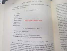 Jokamiehen kivikirja