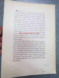 Jokamiehen kivikirja