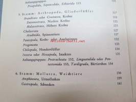 Zoologie - Eine Einführung in das Studium des Tierreiches