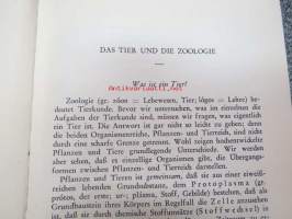 Zoologie - Eine Einführung in das Studium des Tierreiches