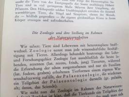 Zoologie - Eine Einführung in das Studium des Tierreiches
