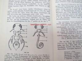 Zoologie - Eine Einführung in das Studium des Tierreiches
