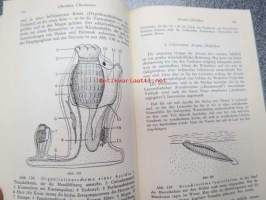 Zoologie - Eine Einführung in das Studium des Tierreiches