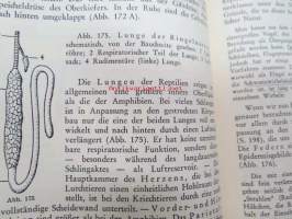 Zoologie - Eine Einführung in das Studium des Tierreiches