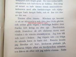 Med Finlands Vita - Anteckningar från Finlands Frihetsstrid, kansikuvitus Bruno Tuukkanen