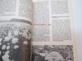 Fotosafari. Luonnonkuvauksen taskuopas 1982-83