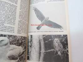 Fotosafari. Luonnonkuvauksen taskuopas 1982-83