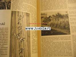 Kotiliesi 1942 nr 12, kesäkuu  sunnuntaityötä sotasairaalassa, sydänkesän työkalenteri, koetamme saada kotipellavista parhaan kesäpukumme, ämmänlänget