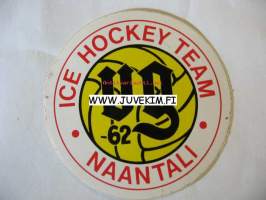 vg-Ice Hockey Team Naantali -tarra