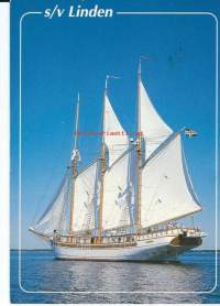 s/v Linden  - laivapostikortti postikortti