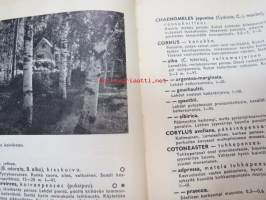 Taimisto-opas