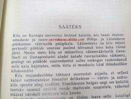 Kilu (kilohaili)