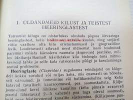 Kilu (kilohaili)