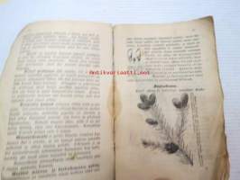 K. (Keisarillisen) Suomen Talousseuran Kirjaisia kansalle. 8. Metsäpuitten siementen kokoomisesta ja säilyttämisestä, kansan walistukseksi, Turussa 1874