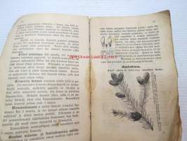 K. (Keisarillisen) Suomen Talousseuran Kirjaisia kansalle. 8. Metsäpuitten siementen kokoomisesta ja säilyttämisestä, kansan walistukseksi, Turussa 1874