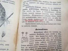 K. (Keisarillisen) Suomen Talousseuran Kirjaisia kansalle. 8. Metsäpuitten siementen kokoomisesta ja säilyttämisestä, kansan walistukseksi, Turussa 1874