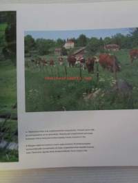 Suomalainen kulttuurimaisema