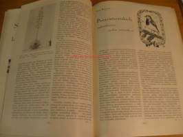Misericordia joulu 1951