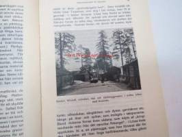 Tursitföreningen i Finland Årsbok 1910 Suomen Matkailijayhdistys Vuosikirja