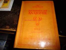 Taschenbuch der Anatomie Band II