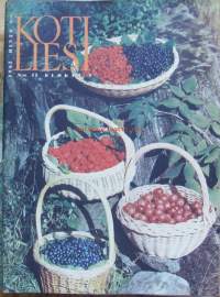 Kotiliesi 1963 nr 15 / perintöhuvila, nykyhetken perheen kriisi, kesä lötyy kaupungistakin, puutarha-ateria, elokuun sato, etikkasäilykkeet,