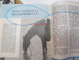 Tähti 1953 nr 1 -lukemisto, sisältää mm. Walter Lampén haastattelu - Suomen ensimmäinen Fordin omistaja, Elizabeth Taylor, Zorro-sarjakuva, ym.