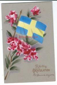 Ruotsin lippu - lippupostikortti postikortti - kulkenut nyrkkipostissa 1919