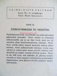 Vainolaista vastaan : Syöksyveneissä yli vesistön, nro 16