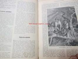 Kyläkirjaston kuvalehti - vuosikerrat 1899-1900 kirjaksi sidottuna, monipuolinen ja runsas kirjallinen sekä kuvallinen aineisto sekä Suomea, että ulkomaita