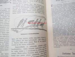 Kyläkirjaston kuvalehti - vuosikerrat 1899-1900 kirjaksi sidottuna, monipuolinen ja runsas kirjallinen sekä kuvallinen aineisto sekä Suomea, että ulkomaita