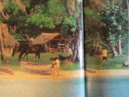 Apu 1983 nr 22, sis. mm. seur. artikkelit / kuvat / mainokset; Tongan kuningaskunta - Apu Etelämerellä, Erkki Harjunmaa ennustaa, Hevosmiehet