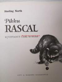 Pikku Rascal