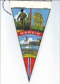 Narvik - matkailuviiri viiri paikkakuntaviiri  ,  n 15x30  cm