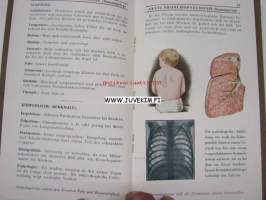 Die Pneumonische Lunge